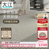大江进口羊毛地毯客厅现代简约素色轻奢高级感沙发地毯200x300cm