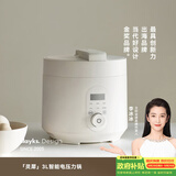 olayks立时电压力锅 高压锅 家用高压电饭锅快煮预约压力锅小型婴儿辅食锅 3L适用2-3人 YBW3001B