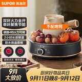 苏泊尔（SUPOR）迷你电陶炉 煮茶器煮茶炉煮茶壶 养生围炉煮茶泡茶办公家用不挑器具SW-DTL05