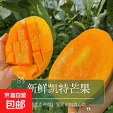 攀枝花 凯特芒 青黄皮 四川甜心芒生熟两吃大芒果当季芒新鲜水果 带箱10斤净重9.5斤单果800g