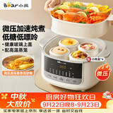 小熊（Bear）电炖盅电炖锅隔水炖家用4人用煲汤炖汤锅燕窝炖盅4.1L炖蒸煮一体微压电炖锅DDZ-J25G2