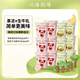北海牧场小果泥2种口味100g*12杯香蕉牛油果+草莓樱桃高钙低温儿童酸奶