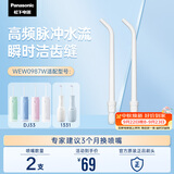 松下（Panasonic）高频脉冲水流喷嘴冲洗残渣 适用于小圆管1331/DJ33  2支装WEW0987W405