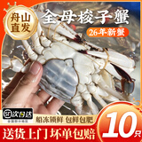 【冷冻】鲜喜利梭子蟹新鲜特大野生舟山大螃蟹海鲜蟹水产飞蟹白蟹 3-4两/只【全母梭子蟹10只装】