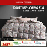 水星家纺羽绒被鹅绒被95%白鹅绒被子冬被冬季加厚被芯双人220×240约5.5斤