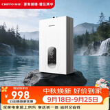 前锋（CHIFFO）燃气热水器【小海豚Pro款】恒温微火苗分段 7秒速热智能控温家用节能强排式厨卫通用天然气热水器 12L 小海豚Pro款【JSQ23-XD550】 高光白【天然气】