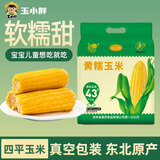 玉小胖东北黄糯玉米棒8根*200g 新鲜黏玉米真空包装软糯香甜粘 低脂早餐