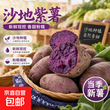 现挖沙地蜜薯红薯新鲜农家糖心番薯烤地瓜软糯批发黄心包邮 正宗沙地紫薯5斤（单果3两+） 含箱