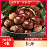 【东东买菜】26年高山新鲜板栗红皮板栗香甜软糯煲汤蔬菜生鲜 野生板栗不带刺包  5斤 净重