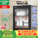康宝（Canbo）【新国标】消毒柜家用小型消毒碗柜高温烘干立式台式餐具碗筷收纳柜厨房【政府补贴】XDR53-TVC1