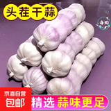 大蒜精装出口蒜出蔬菜水果调料牛肉生蚝小龙虾食材 山东金乡出口标准网袋大蒜 净重1.8斤 中果直径4cm