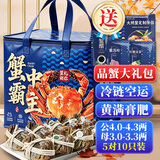 【活蟹】蟹宗大闸蟹鲜活螃蟹公4.0-4.3两母3.0-3.3两5对10只生鲜海鲜节日礼品源头直发