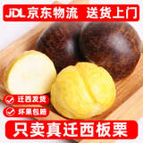 栗小胖新货迁西板栗生新鲜栗子生鲜迁西生栗子大油栗小毛唐山板粟 老树品种净重4斤 大果（实惠性价比高）