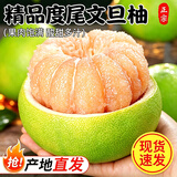 闽农语果度尾文旦柚【现货】应季福建仙游红心柚有孔过节中秋国庆新鲜水果 5斤-甄选装丨约3-4枚丨A+级精品果【网袋】 商超品质老树文旦柚