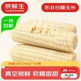 京鲜生东北白糯玉米250g*10棒 新鲜甜糯玉米棒真空包装粘玉米 源头直发