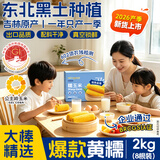 东北农嫂糯玉米穗 糯玉米段 软糯香 吉林原产 真空玉米 低脂粗粮 【26年头茬】黄糯玉米礼盒2kg 约8根