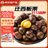 迁西板栗2026年新鲜生板栗大颗粒特选栗子新鲜例子甜栗子河北唐山特产 迁西3113大果 5斤 （布袋+开栗器）