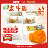 京鲜生云南特产鲜菌菇【新鲜金耳】净重2斤刺身煲汤火锅食材源头直发