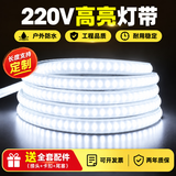 星满艺LED灯带220V灯带2835客厅吊顶灯带工程户外防水灯带led灯条线型灯 单排灯珠-白光6000k220V 1米灯带+插头*1（送配件包）不含开关