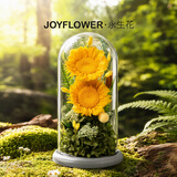 JoyFlower向日葵花束永生花生日礼物结婚纪念日新婚送女生朋友老婆新人高档
