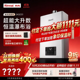 林内（Rinnai）【鲸吨吨SE】24升大升数燃气热水器全新升级CPU ECO节能热水器燃气上门安装24GD31(JSQ47-GD31)