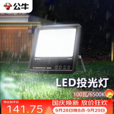 公牛（BULL）LED投光灯庭院灯工地灯园林照明露营灯 IP65防水100W-6500K白光