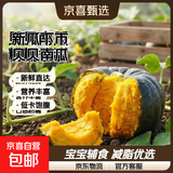 京喜加新瓜下市正宗贝贝南瓜新鲜现摘宝宝辅食优选低脂健康蔬菜1斤装营养丰富粉糯香甜