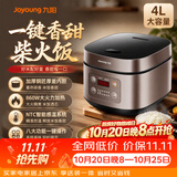九阳（Joyoung）电饭煲4L煮米饭电饭锅家用煮粥智能预约不粘铜釜多功能5-8人 超高性价比大火力精煮柴火饭】FZ820 4L
