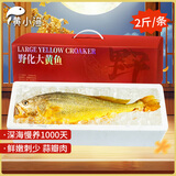 黄小渔生态慢养宁德野化大黄鱼海鲜礼盒2斤/条 黄花鱼家宴礼盒 源头直发