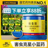 史丹利（STANLEY）小蓝药杀虫剂呋虫胺70g 蚜虫专杀花盆小黑飞土壤月季花植物花药