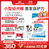 皇家狗粮幼犬奶糕宠物小型犬MIJ31全价犬粮2-10月8KG宠物金选