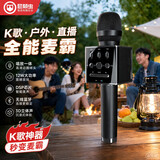 屁颠虫（Hifier）X17无线蓝牙麦克风话筒音箱一体手机麦Ai修音家庭KTV户内外k歌直播主持便携话筒长续航直播设备