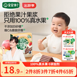 宝宝馋了蓝莓水果棒儿童零食水果条原果果肉条不添加白砂糖45g