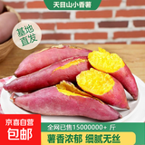 现挖沙地蜜薯红薯新鲜农家糖心番薯烤地瓜软糯批发黄心包邮 正宗天目山小香薯2斤 宝宝果 含箱
