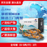 【活蟹】掌昕鲜三门青蟹 全母蟹（8-9两/只）3只 海鲜活螃蟹送礼品盒非帝王蟹 源头直发