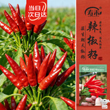 寿禾 朝天椒种子种苗簇生指天椒菜籽 潍丰赤焰7号簇生朝天椒种子110粒