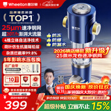 惠尔顿前置过滤器20T大通量过滤25微米反冲洗家用全屋净水器 实时自动清洗刮洗自来水防爆过滤器P0038pro 自行安装【20T-升级25微米精滤】