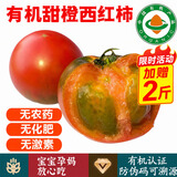 【顺丰】有机虎眼西红柿 云南高原甜橙柿子 新鲜健康有机蔬菜 3斤 【活动加送2斤，发5斤】