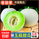 玉菇甜瓜冰淇淋现摘新鲜水果整箱当季水果香瓜冰淇淋（多仓发货） 【精品装】 9斤(净重8.5斤)