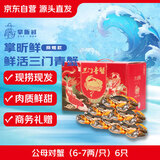【活蟹】掌昕鲜三门青蟹 公母对蟹（6-7两/只）6只 生鲜活螃蟹海鲜水产送礼盒 源头直发