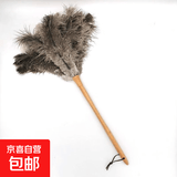鸡毛掸子鸵鸟毛掸家用除尘神器静电除尘扫灰密绒灰尘清洁打扫清扫 长榉木款约50cm