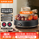 苏泊尔（SUPOR）迷你电陶炉 煮茶器煮茶炉煮茶壶 养生围炉煮茶泡茶办公家用不挑器具SW-DTL05