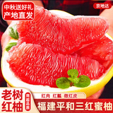 京地达柚子福建红心蜜柚子三红蜜柚水果送礼净重4.5斤单果1.8斤源头直发