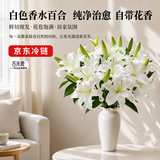 吉米鹿香水百合花鲜花A级【白色10朵+送2朵】云南基地鲜切花束源头直发
