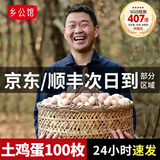 乡公馆土鸡蛋生鲜鸡蛋30枚个正宗农家散养乌鸡蛋有机鸡蛋新鲜柴草笨鸡蛋 土鸡蛋100枚 整箱4kg