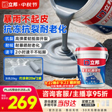 立邦防水涂料屋顶补漏防水胶耐高温防晒防冻屋顶楼顶补漏王20KG 灰色