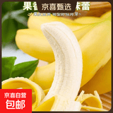 海南甜香蕉 现摘现发 到货3-5天可食用新鲜水果 海南超甜香蕉 2斤 带箱 香甜