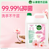 滴露（Dettol）洗手液补充装大桶消毒滋润5L 儿童家庭装杀菌护手