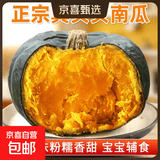京喜加百万复购贝贝南瓜板栗味小南瓜正宗新鲜粉糯香甜单果100g起 贝贝南瓜 10斤 带箱
