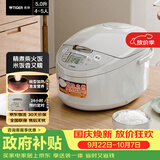 虎牌（TIGER）电饭煲 多功能智能微电脑 可预约定时煮饭电饭煲 家用不粘锅电饭锅 4-5人 5L JAX-C18C